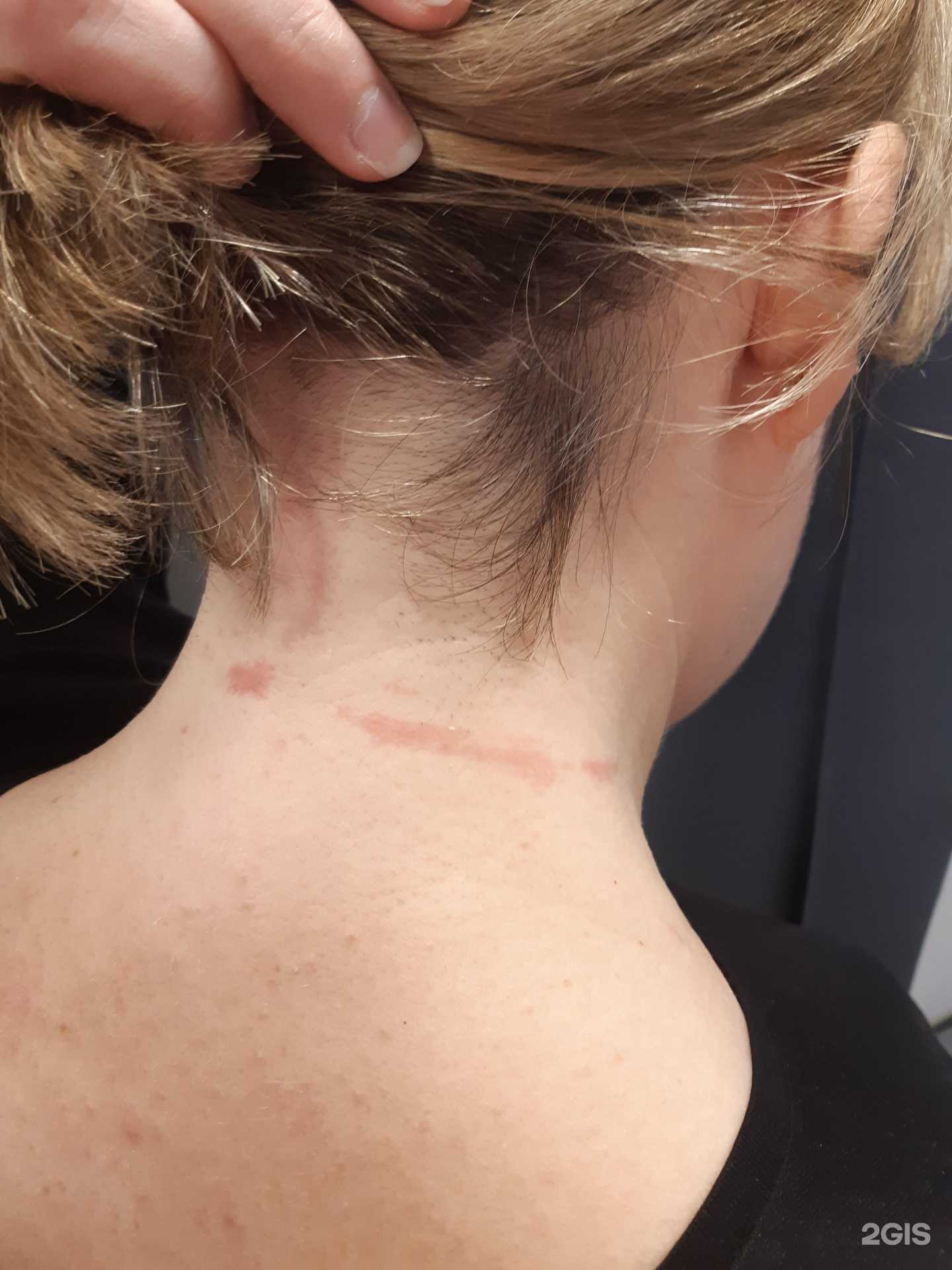 Отзывы на компанию Орхидея в Кузнецке c фото