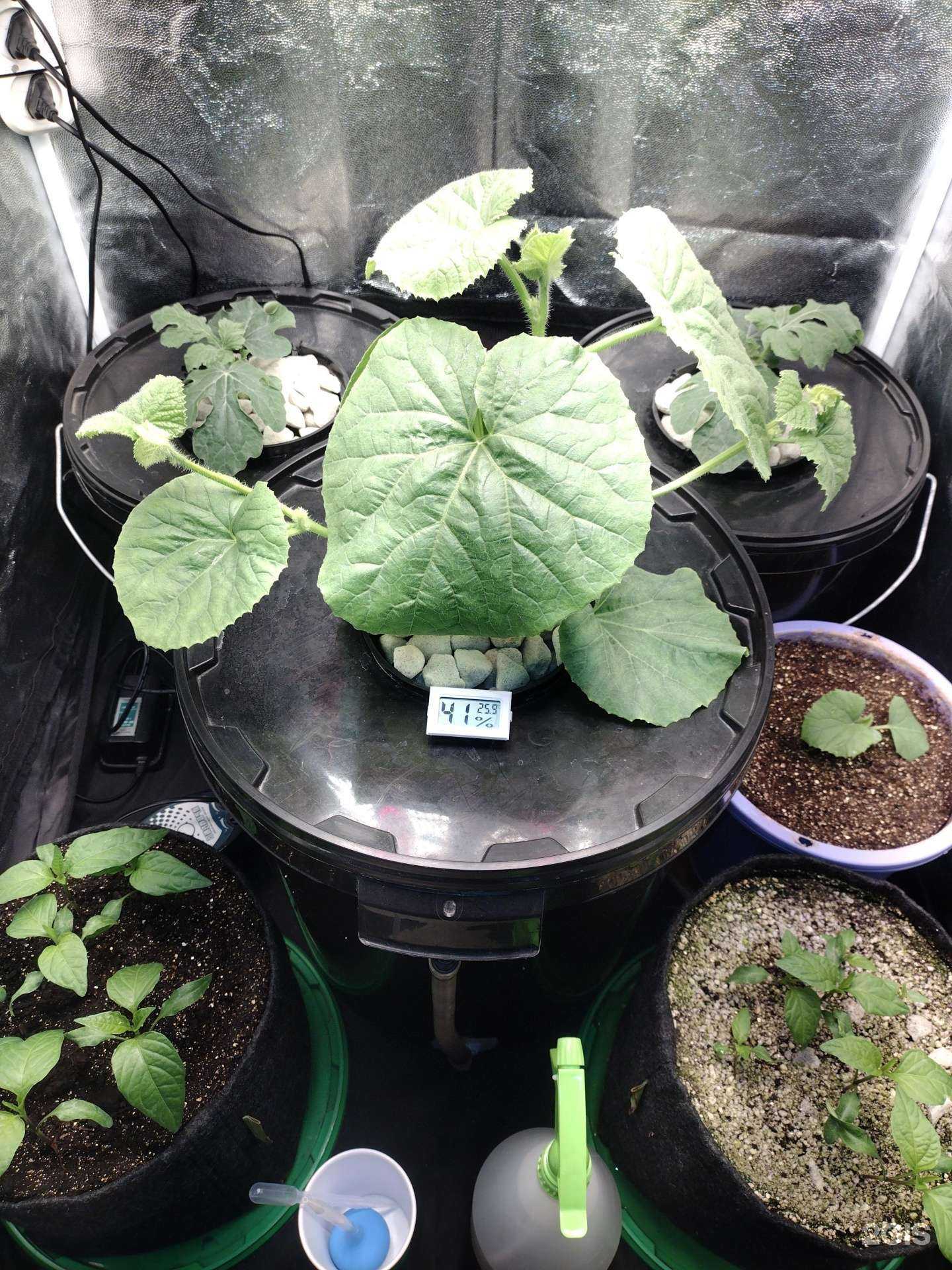 Отзывы на компанию Grow time в Челябинске c фото