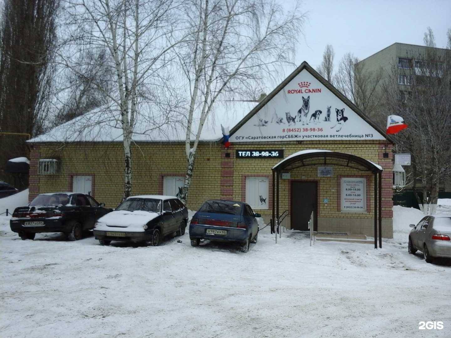 Отзывы на компанию Участковая ветеринарная лечебница №3 в г. Саратов c фото