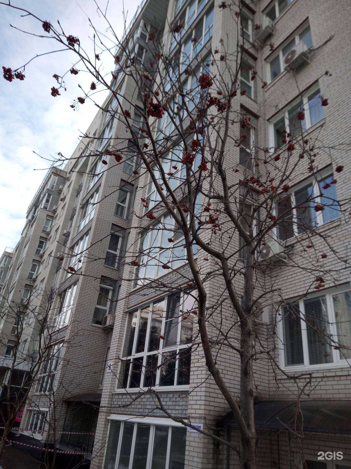 Отзывы на компанию Теремок в Ростове-на-Дону c фото - фотография 2 из 2