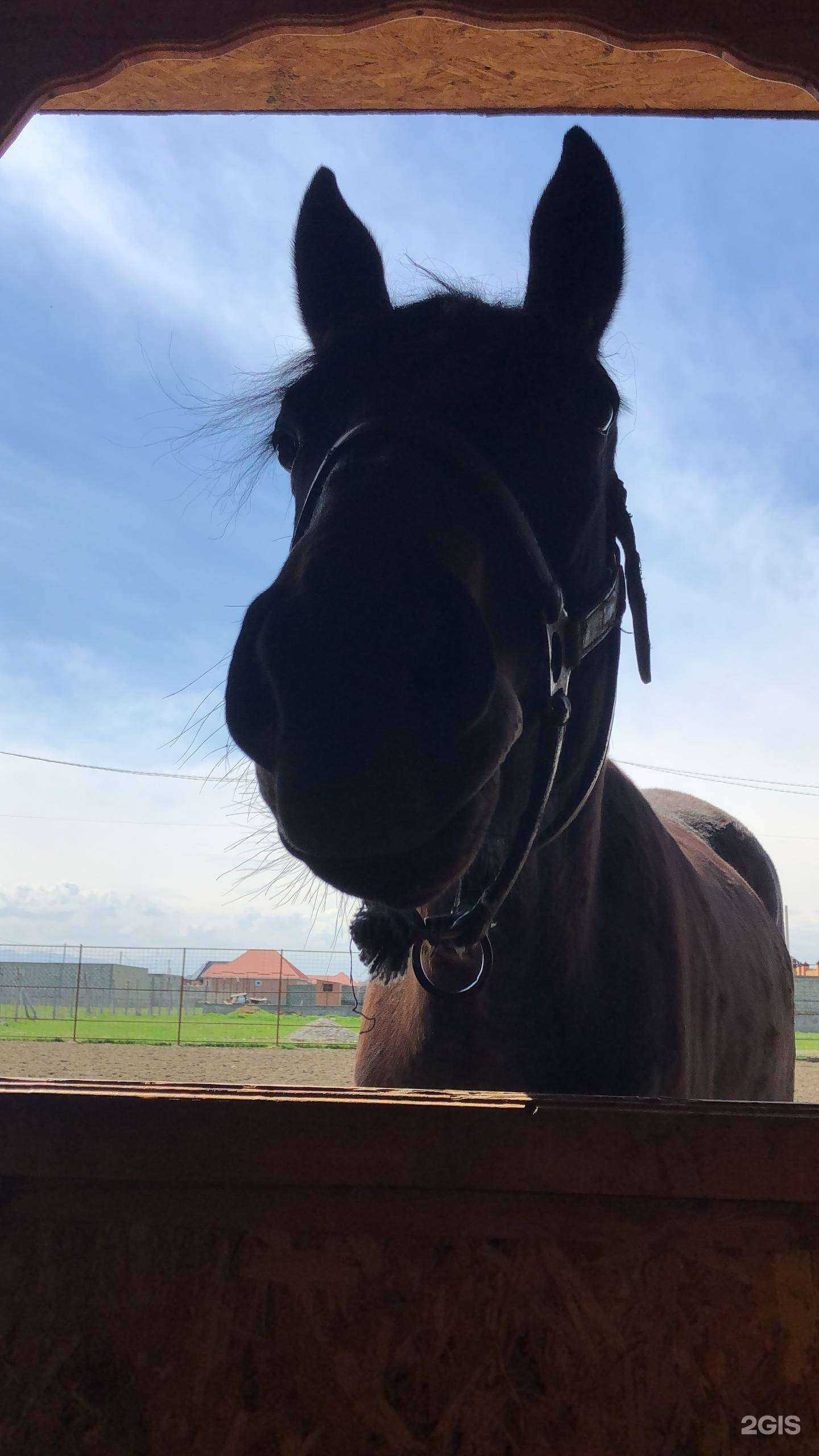 Отзывы на компанию  Джигит в Грозном c фото