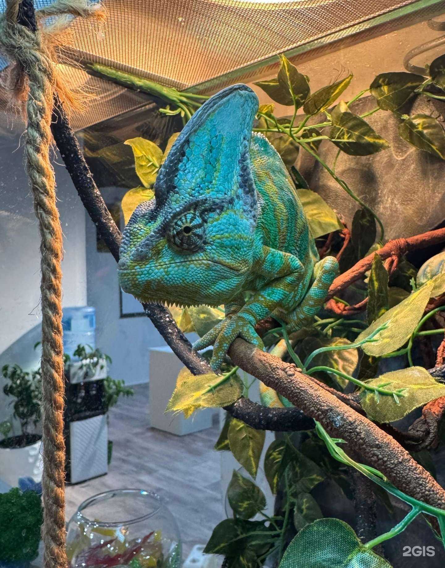 Отзывы на компанию Кутикул.нет в Хабаровске c фото