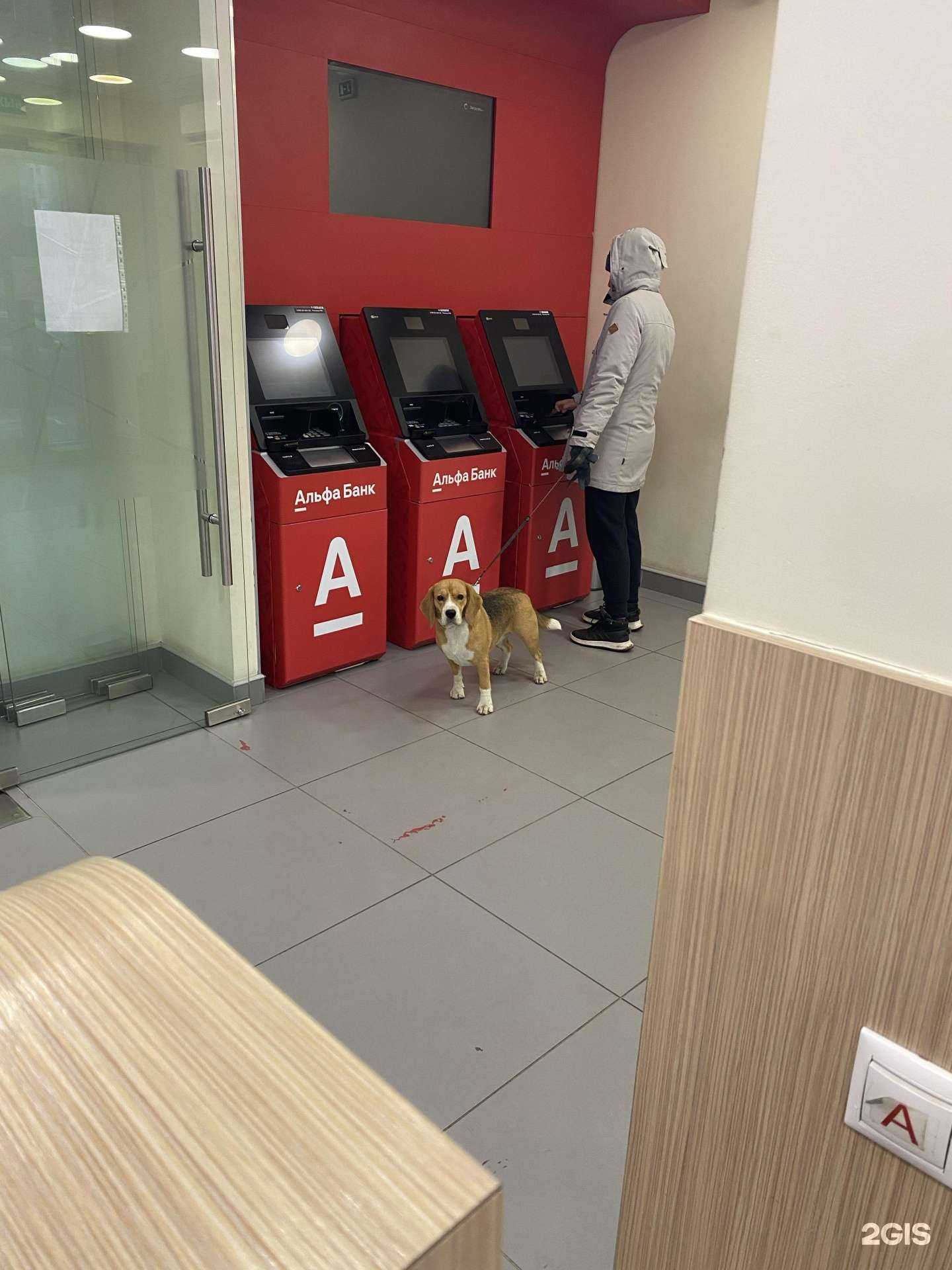Отзывы на компанию Альфа-банк в г. Сургут c фото
