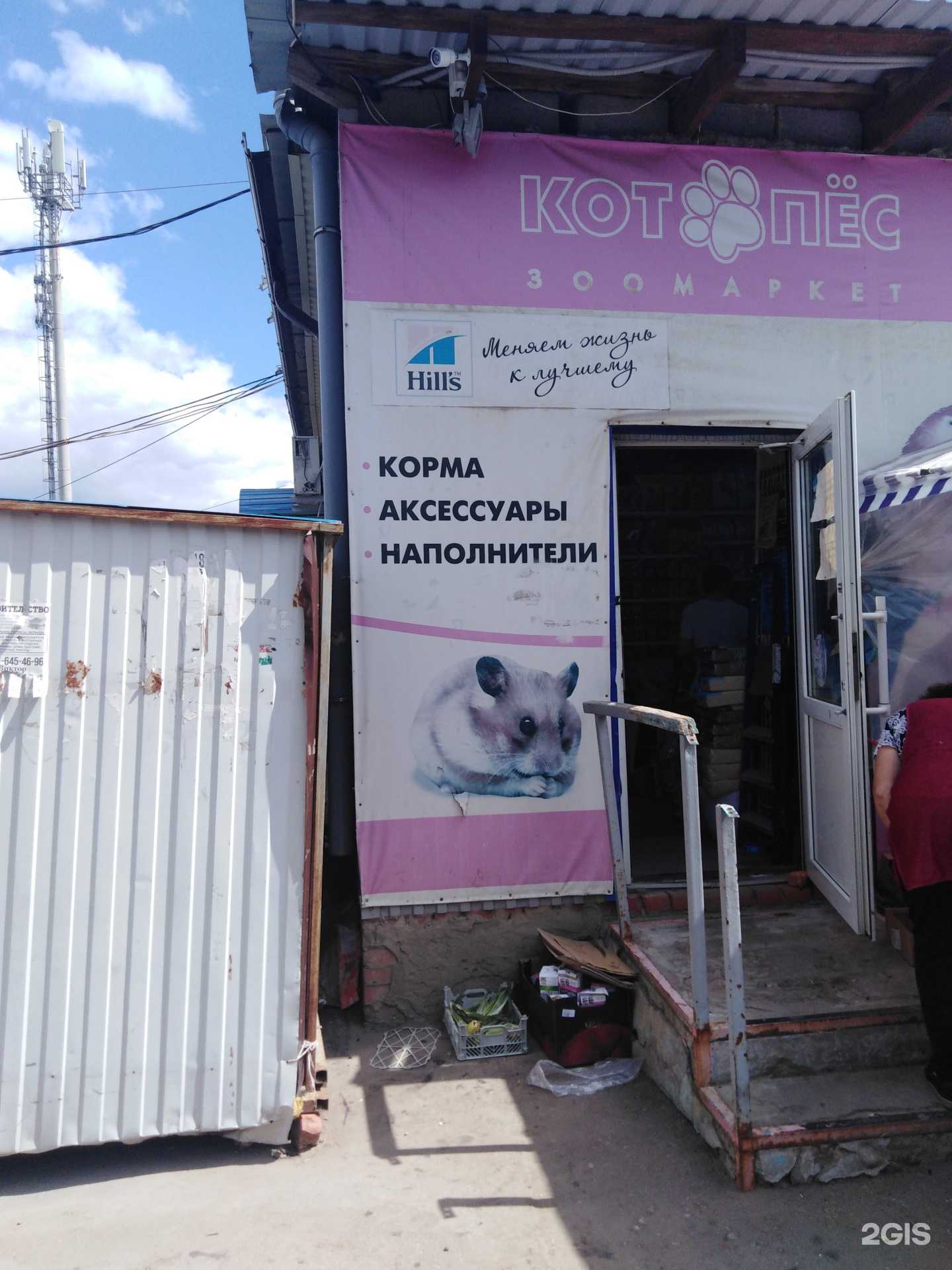 Отзывы на компанию Котопёс в Саратове c фото