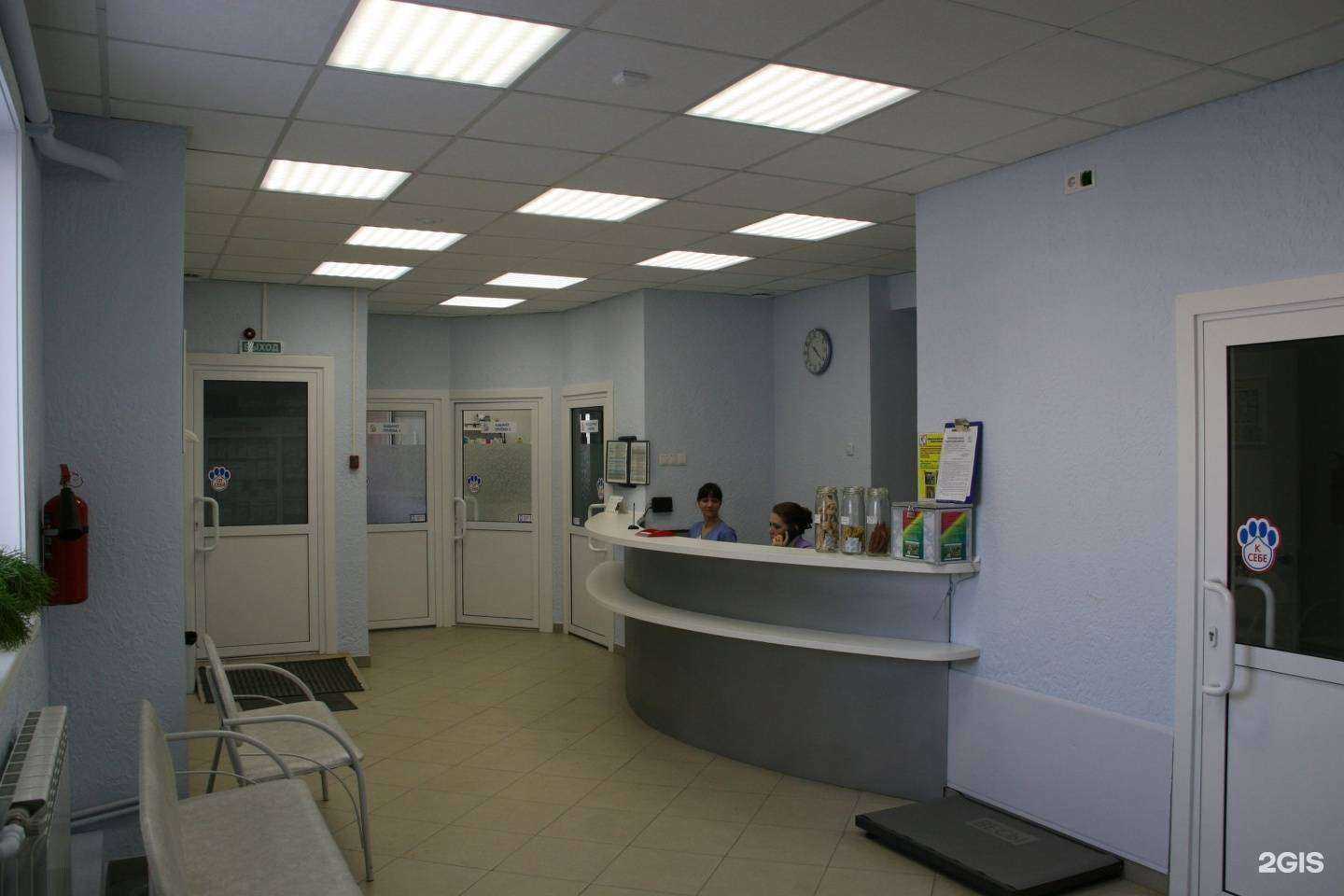 Отзывы на компанию Вет+ в г. Первоуральск c фото