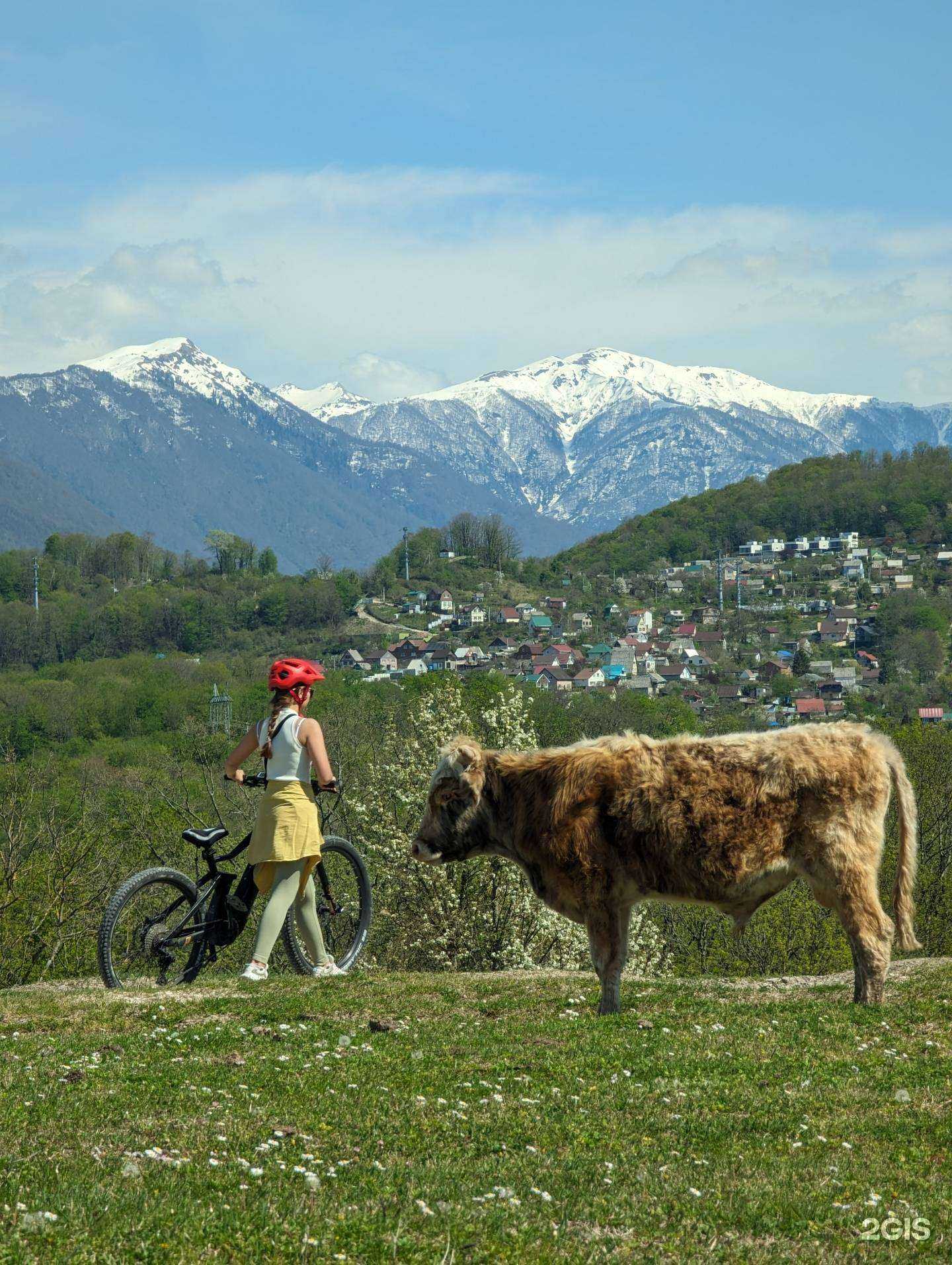 Отзывы на компанию BikeLevel в г. Сочи c фото