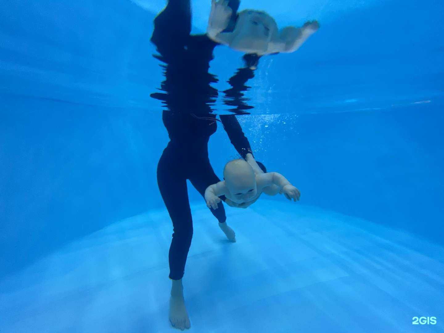 Отзывы на компанию Китенок в г. Химки c фото