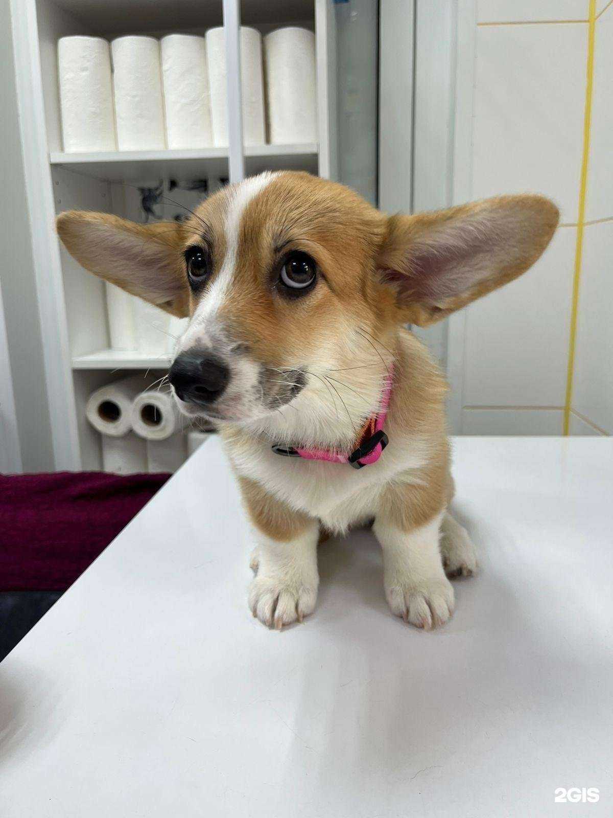 Отзывы на компанию ЦитоМир в г. Челябинск c фото