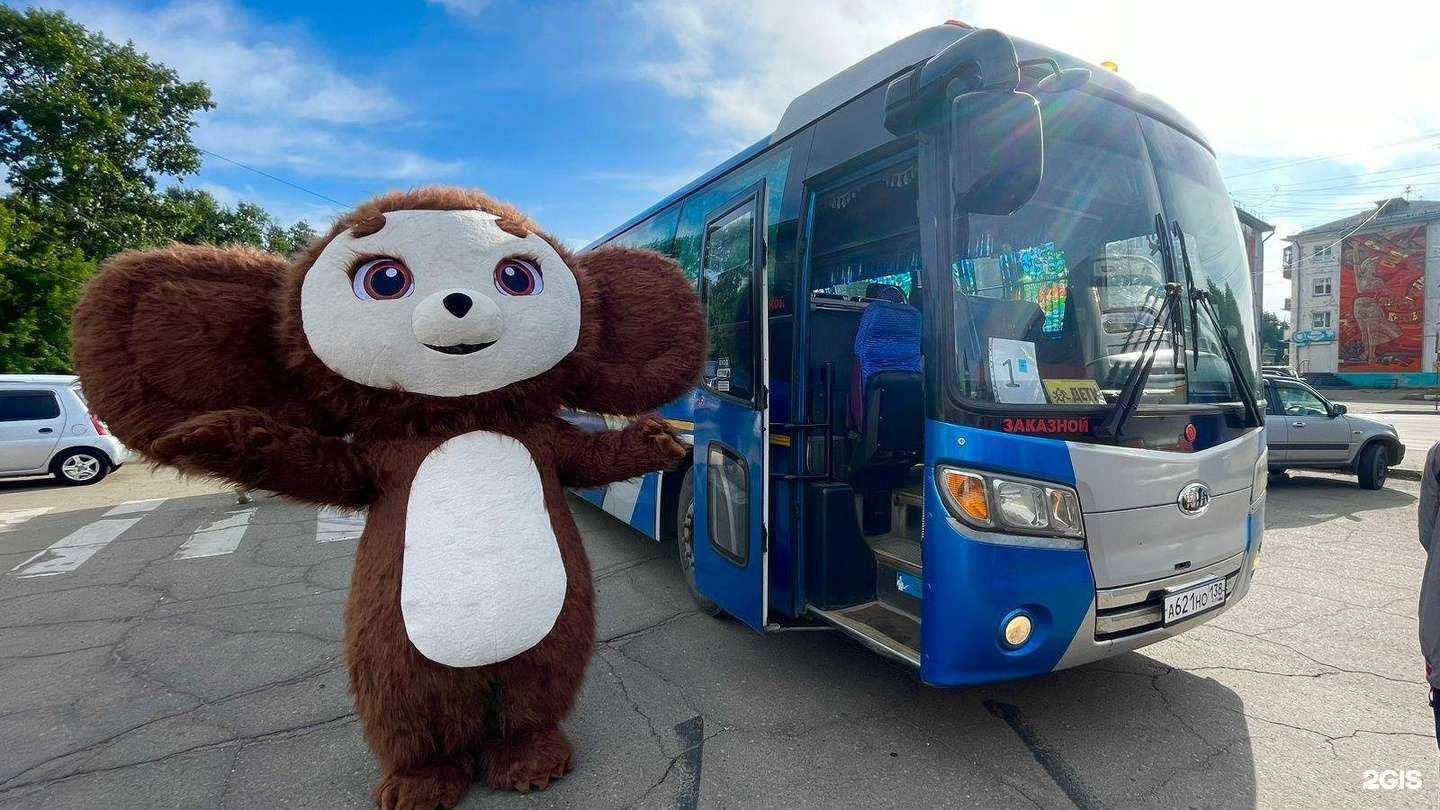 Отзывы на компанию Хамелеон шоу в г. Ангарск c фото