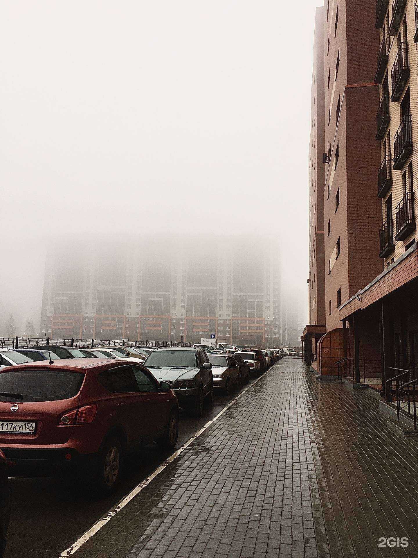 Отзывы на компанию Ромашка в Новосибирске c фото - фотография 2 из 2