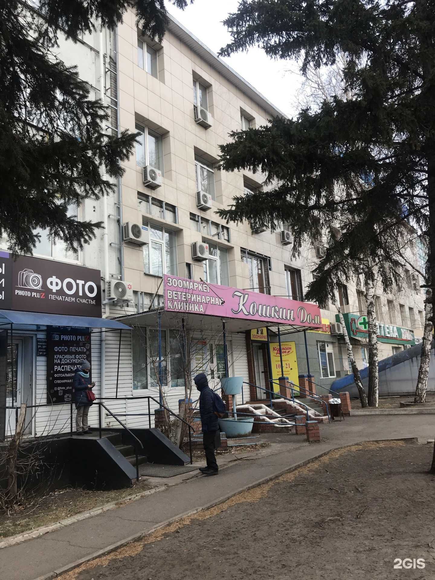 Отзывы на компанию Кошкин дом в Красноярске c фото