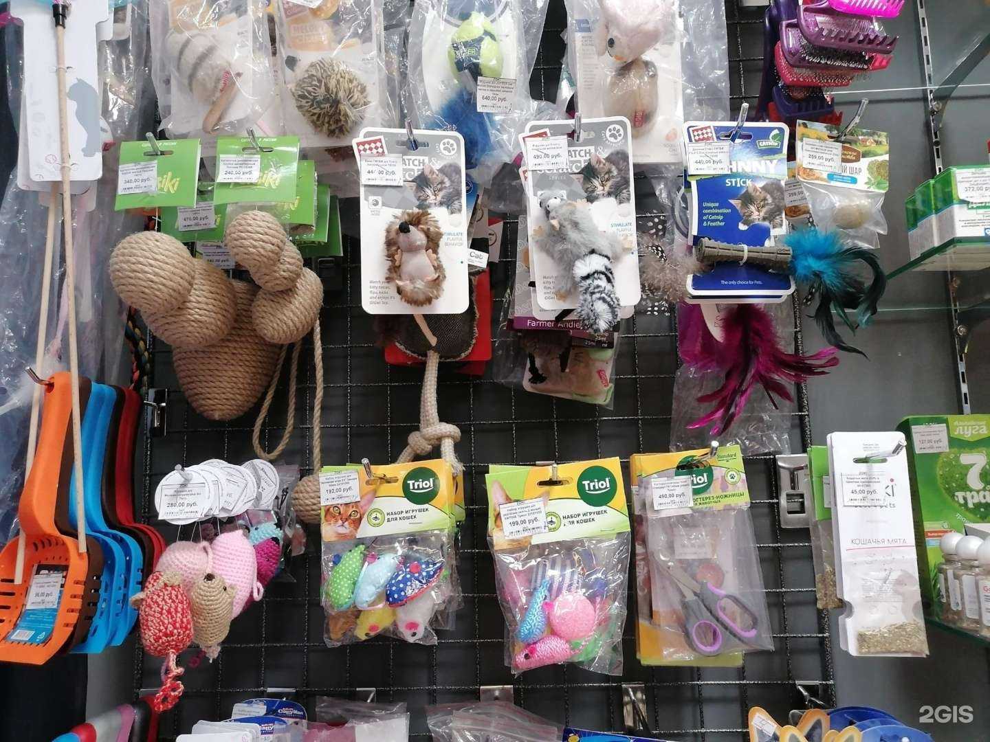 Отзывы на компанию Zoki в Кирове c фото