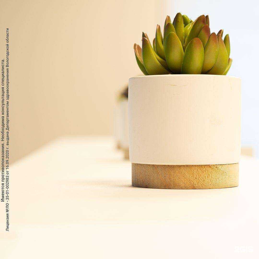 Отзывы на компанию Медэксперт в г. Череповец c фото