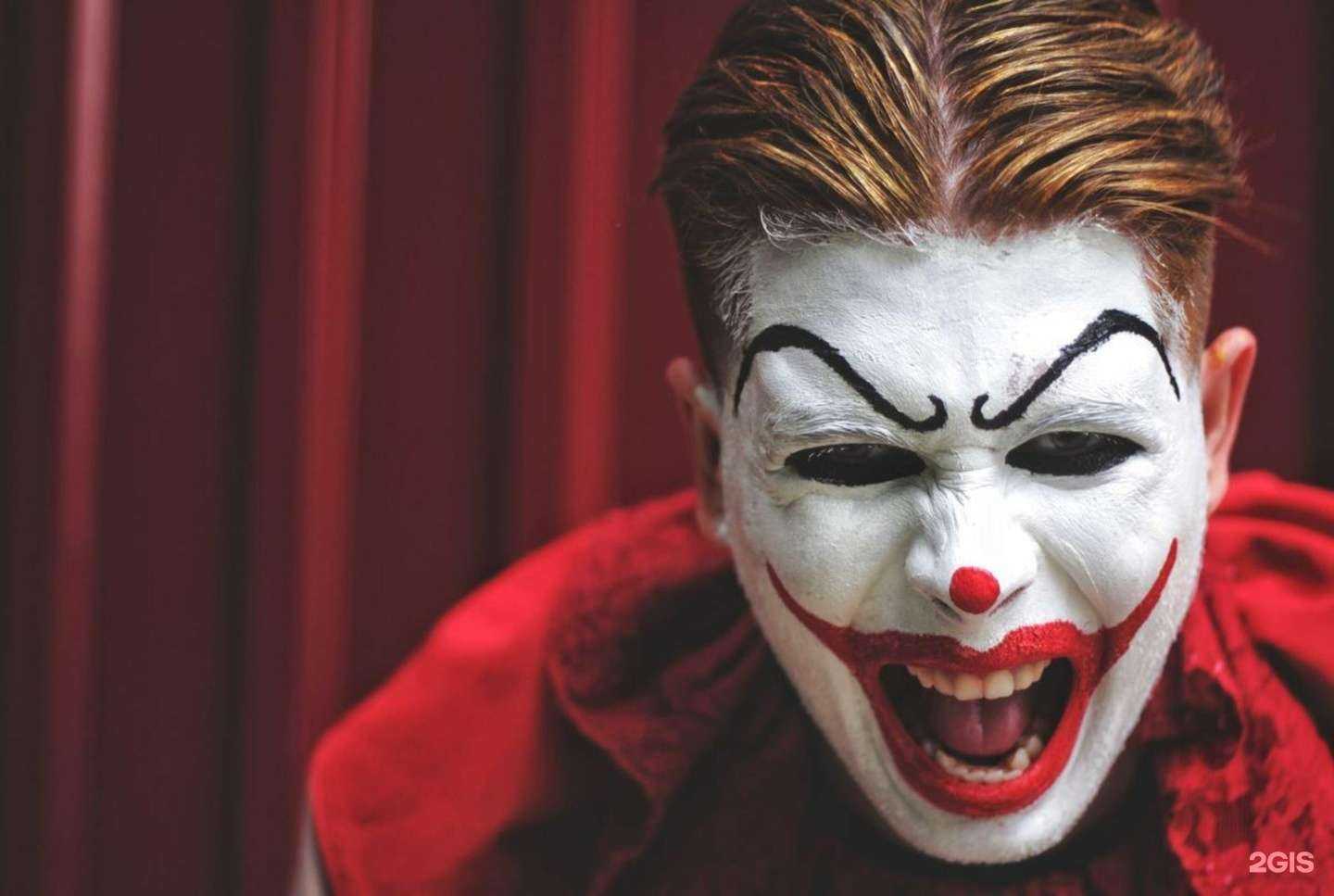 Отзывы на компанию Quest Stars в Новосибирске c фото