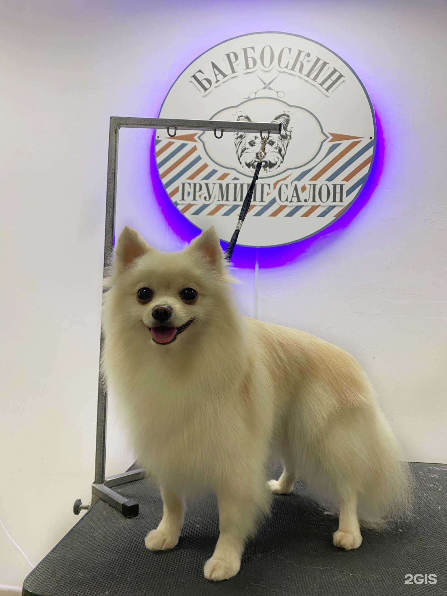 Отзывы на компанию Барбоскин в г. Казань c фото