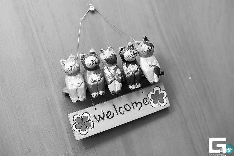 Отзывы на компанию Квартира в г. Кемерово c фото