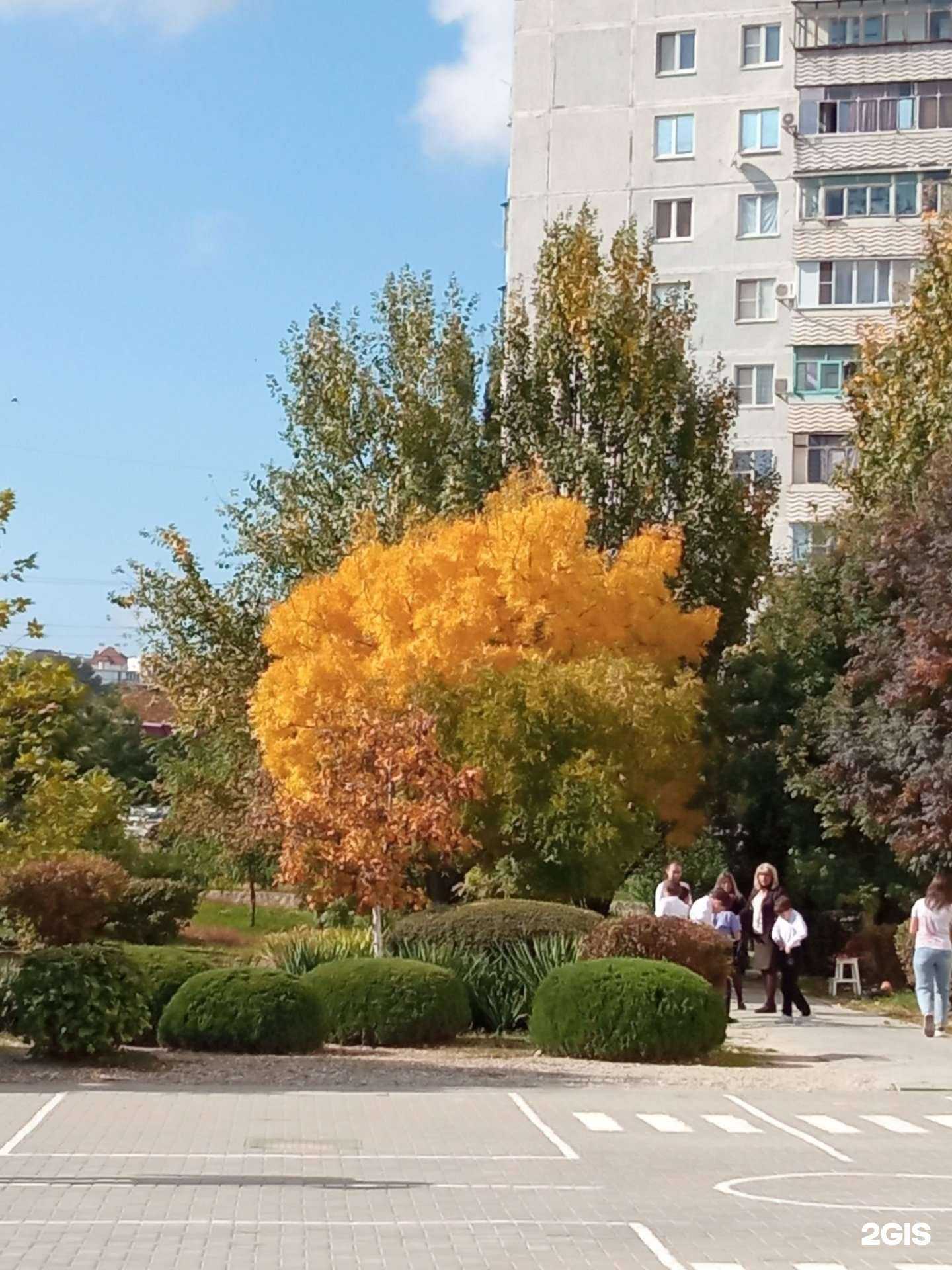 Отзывы на компанию Средняя школа №29 в г. Новороссийск c фото