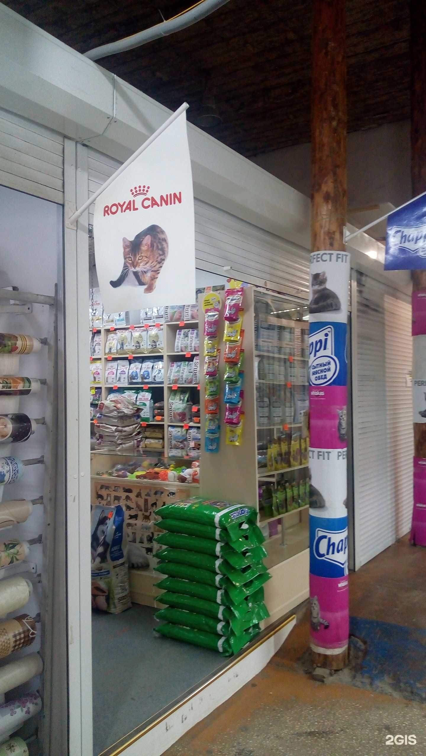 Отзывы на компанию Зоомагазин в г. Сыктывкар c фото