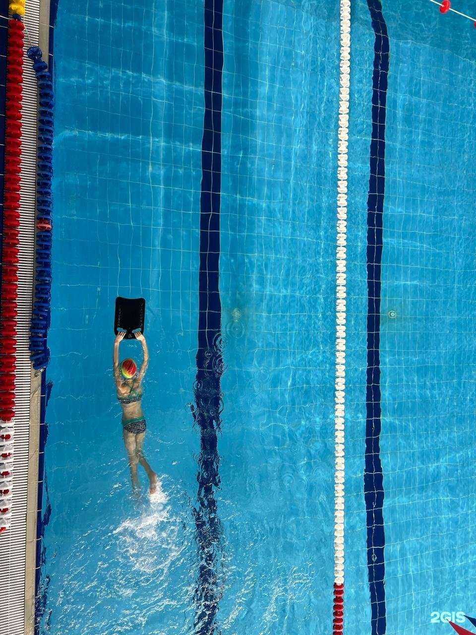 Отзывы на компанию Дельфин в г. Бийск c фото