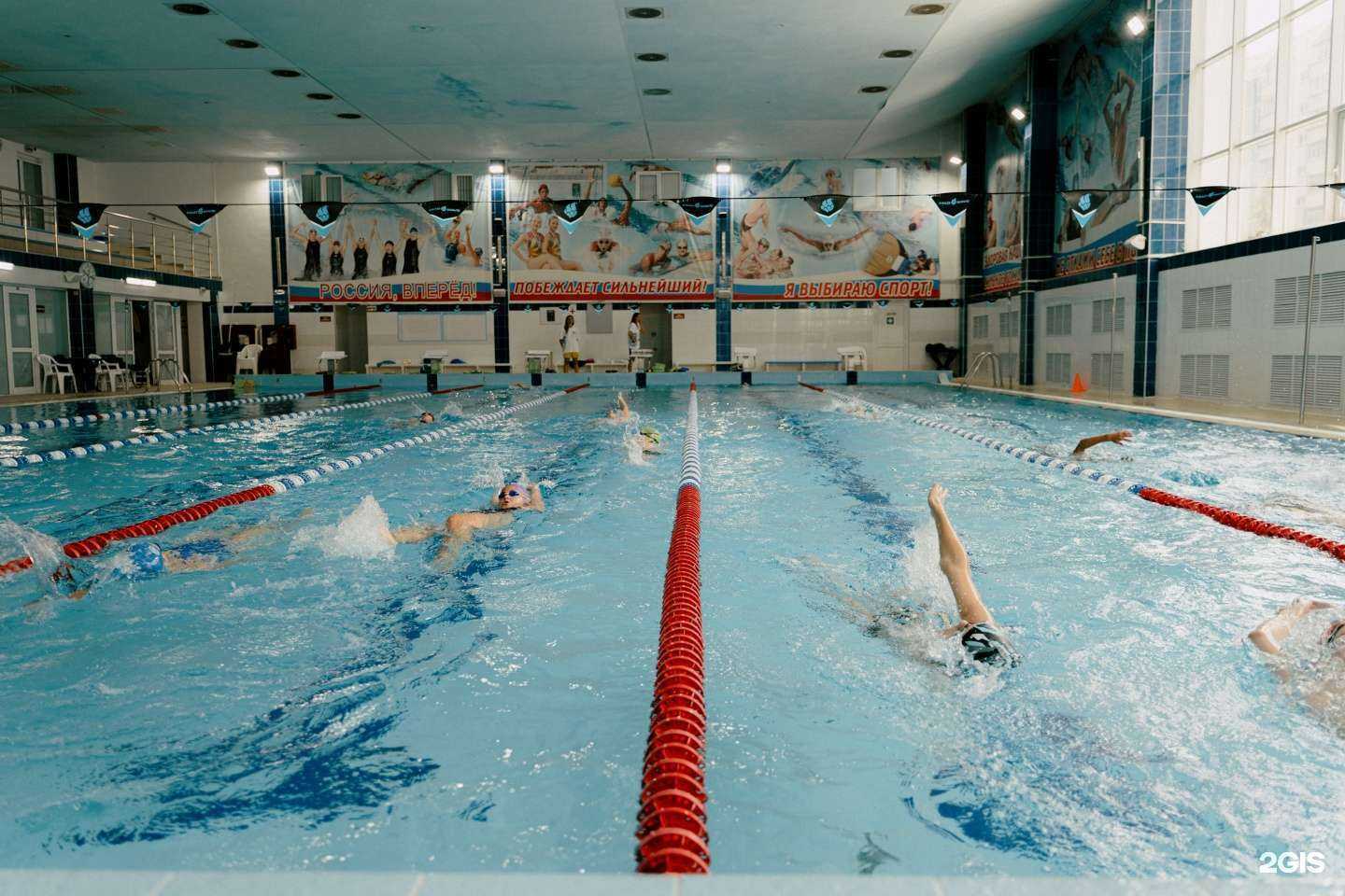 Отзывы на компанию Мегасвим в г. Новосибирск c фото