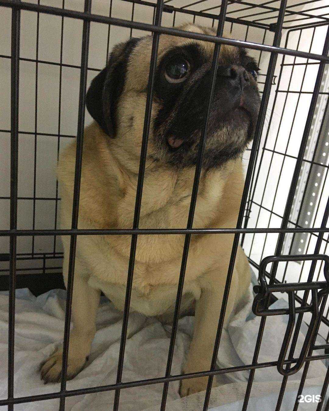 Отзывы на компанию Визави в г. Тольятти c фото