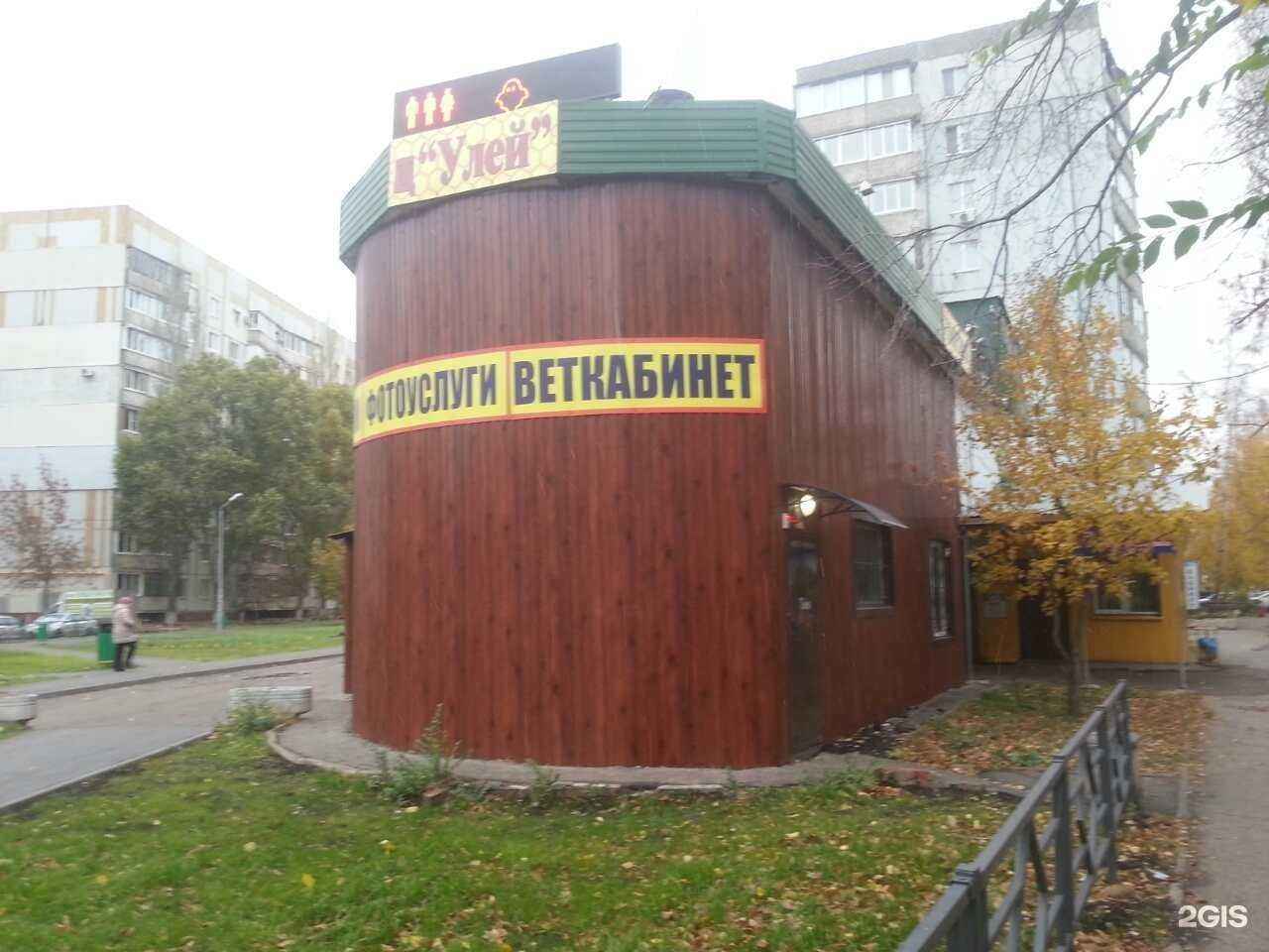 Отзывы на компанию Бусидоvet в г. Самара c фото