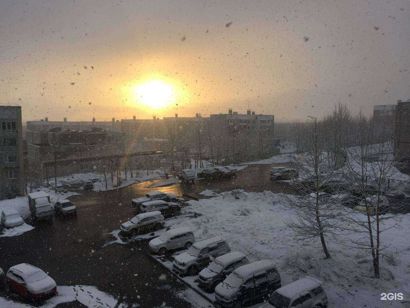 Отзывы на компанию Английский для детей в Петропавловске-Камчатском c фото - фотография 2 из 2