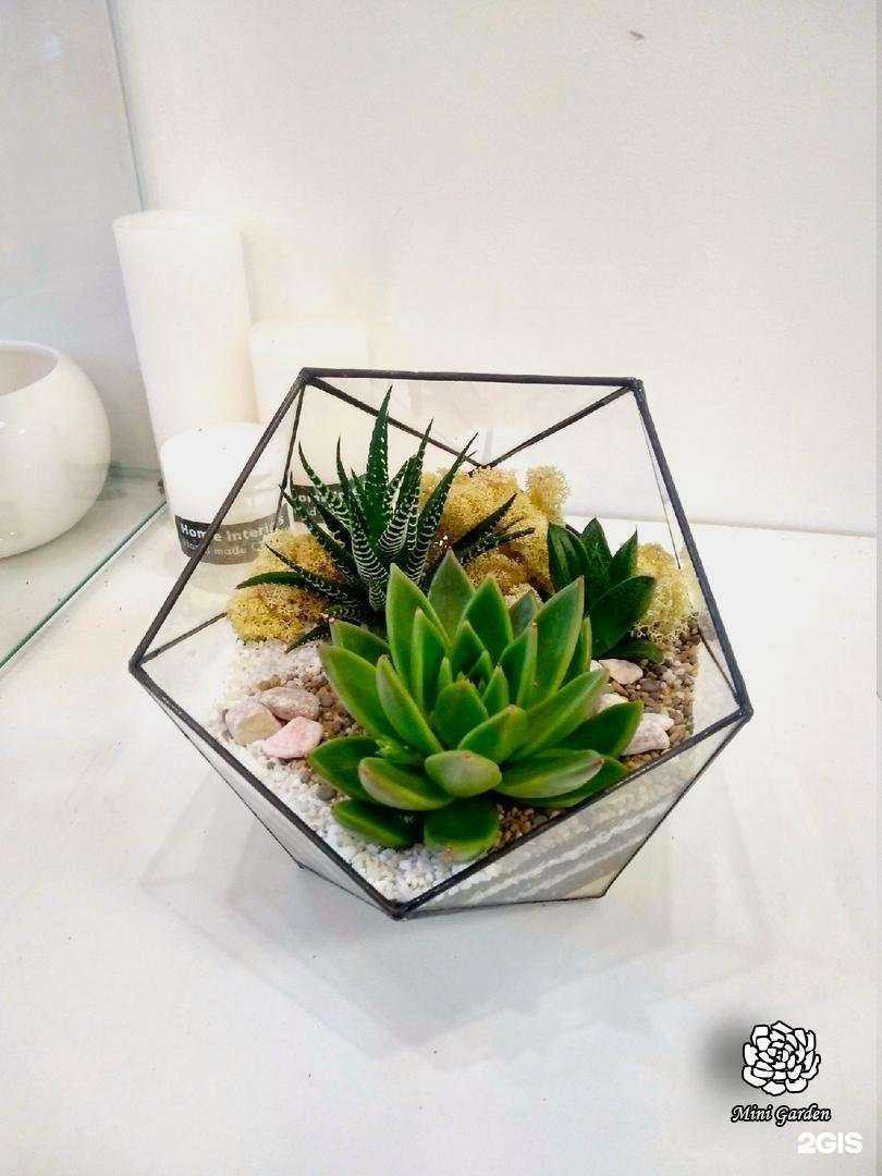 Отзывы на компанию Дом мастеров в Железногорске c фото