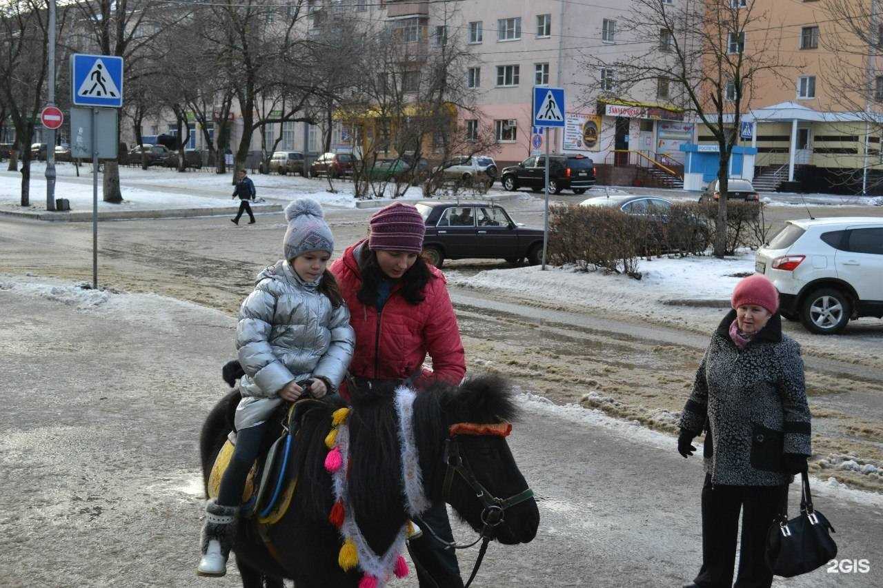 Отзывы на компанию Подкова в Саранске c фото