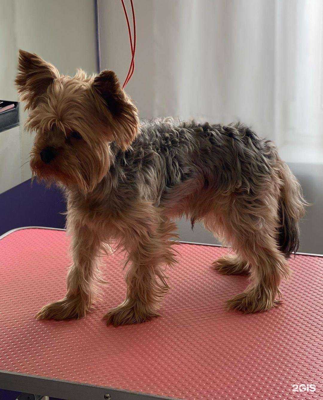 Отзывы на компанию Mary в г. Ижевск c фото