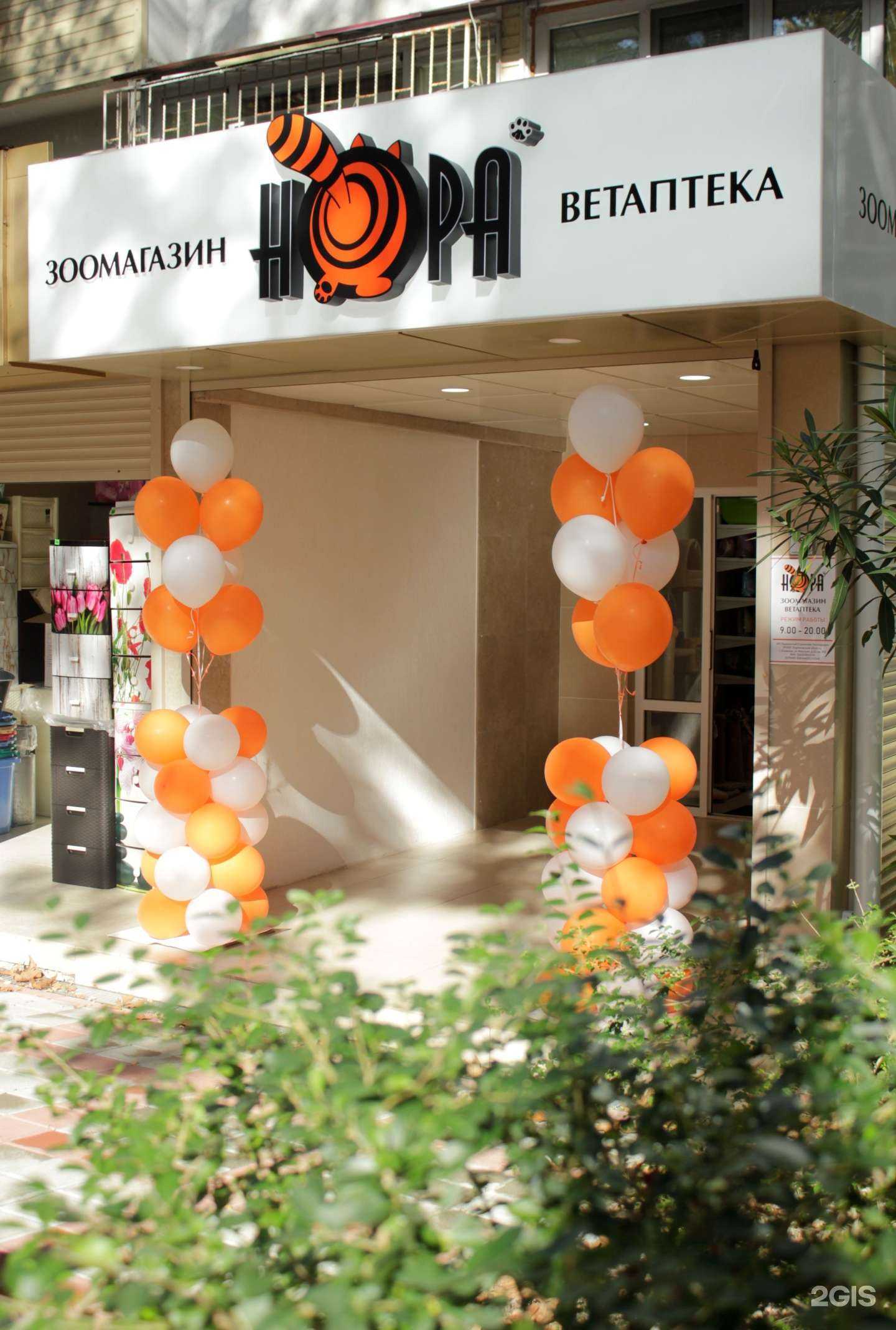 Отзывы на компанию Нора в Сочи c фото