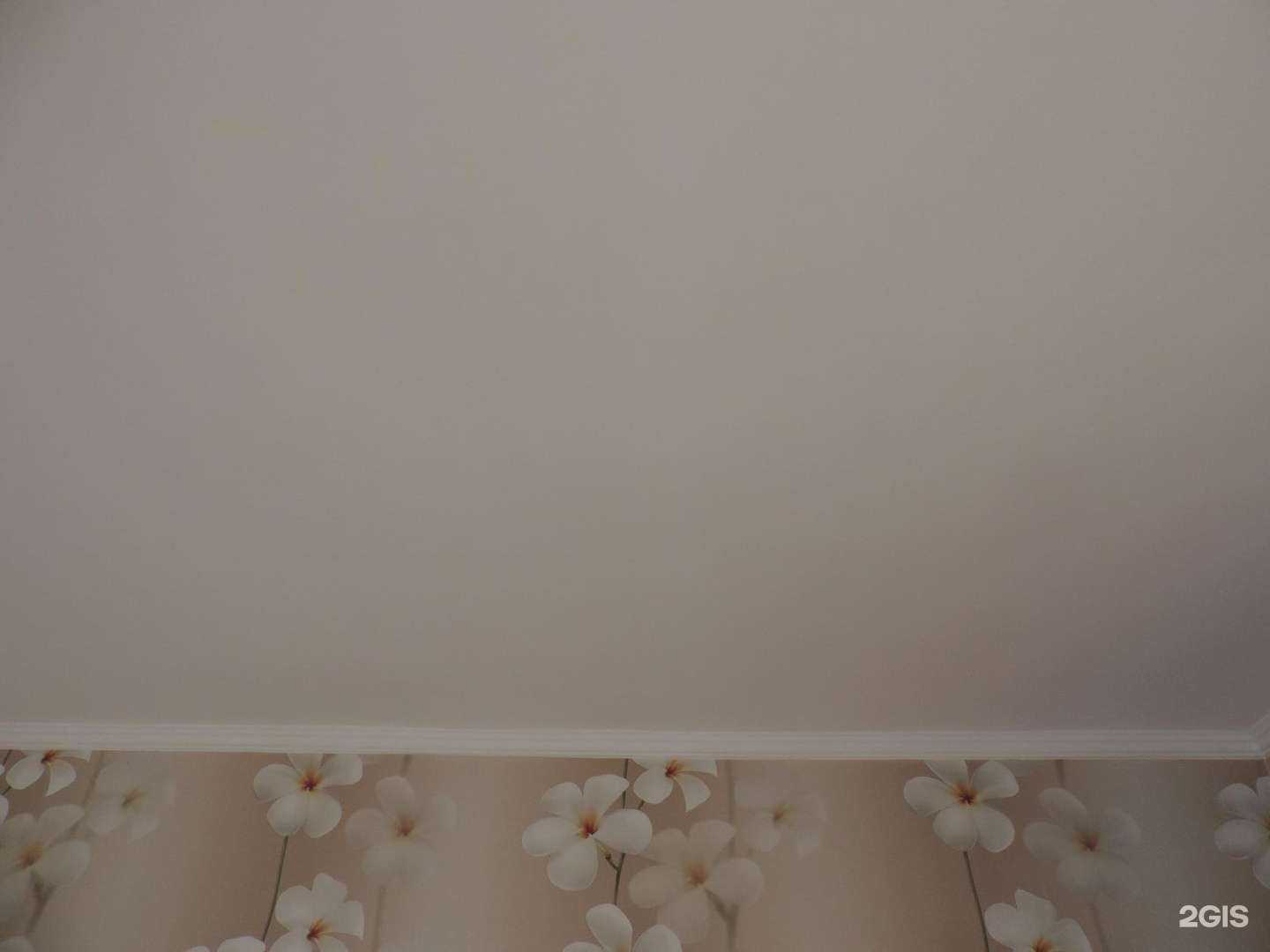 Отзывы на компанию ДолПрофи в Долгопрудном c фото