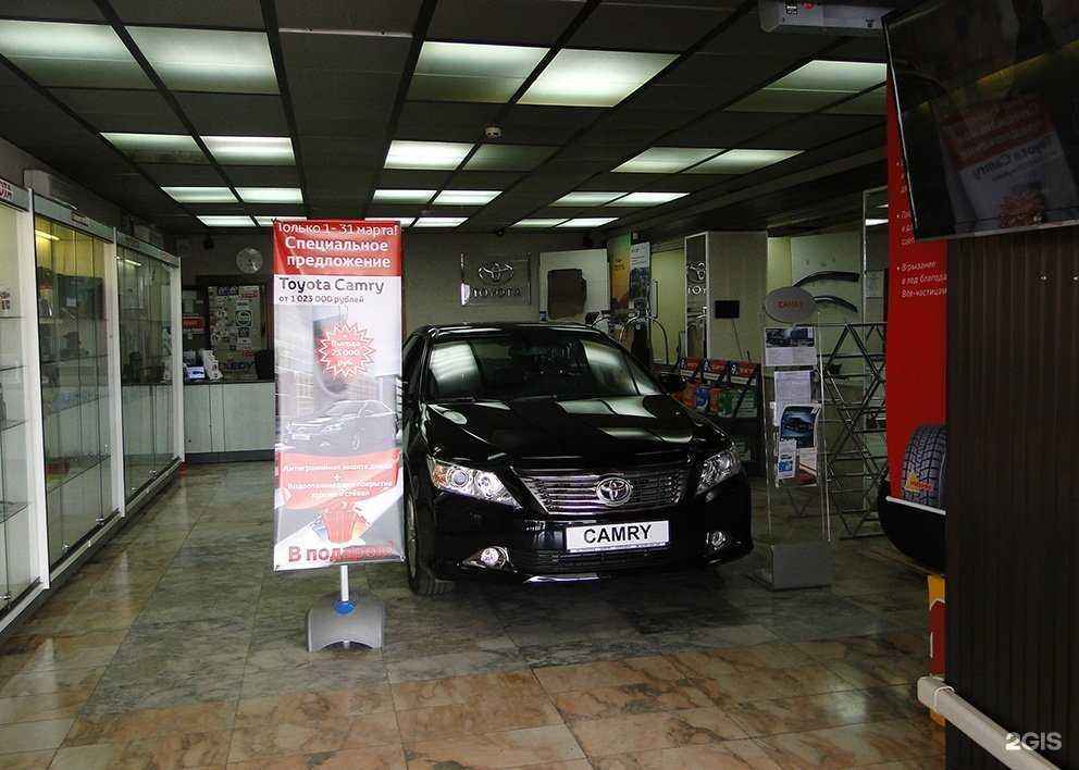 Отзывы на компанию Диттола в Находке c фото