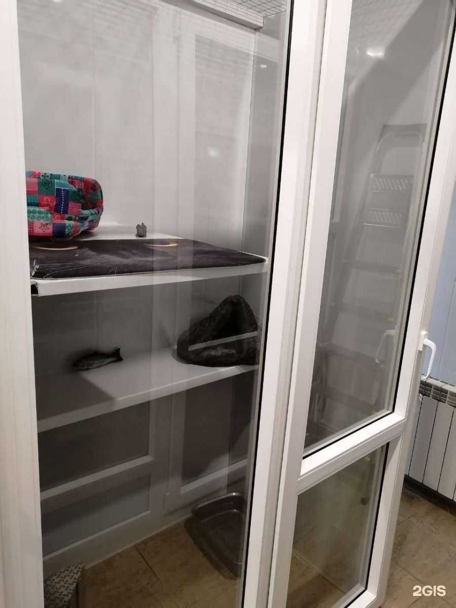 Отзывы на компанию Мистер котик в г. Ростов-на-Дону c фото