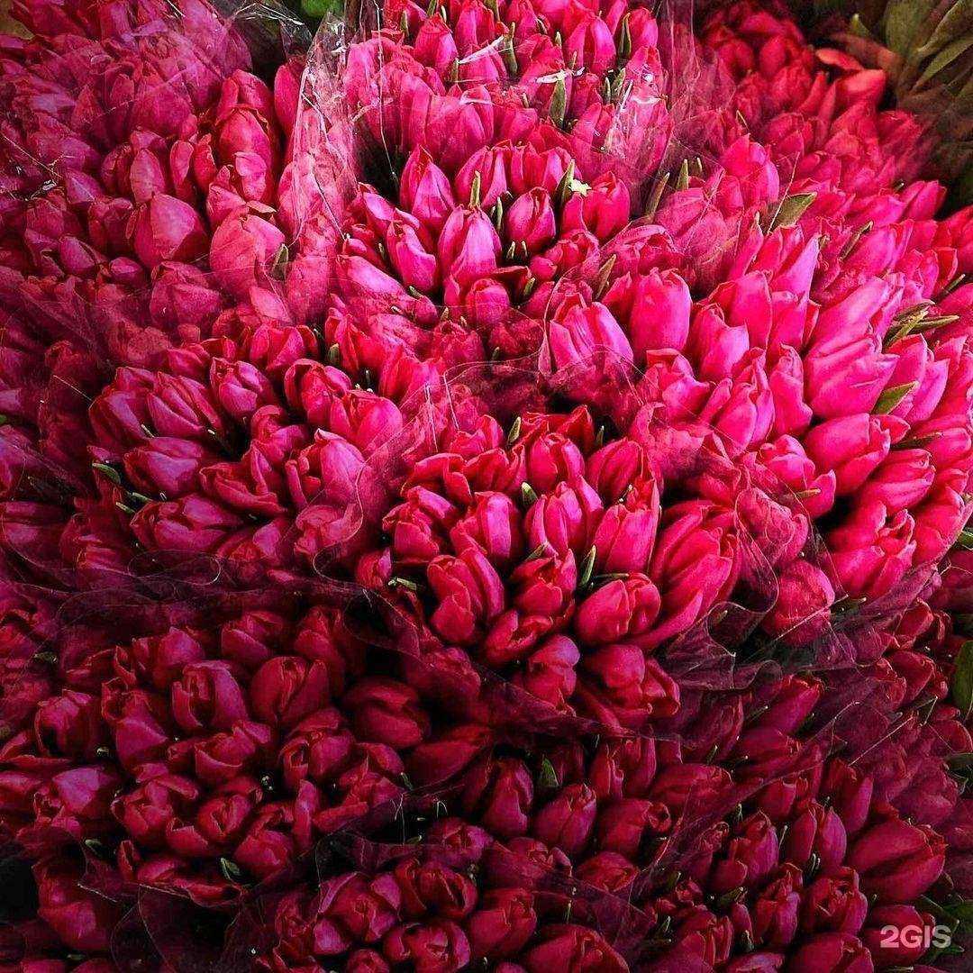 Отзывы на компанию Букет Экзотик в Новом Уренгое c фото