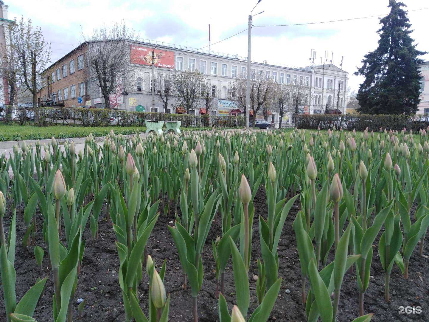 Отзывы на компанию Мир окон в Рославле c фото