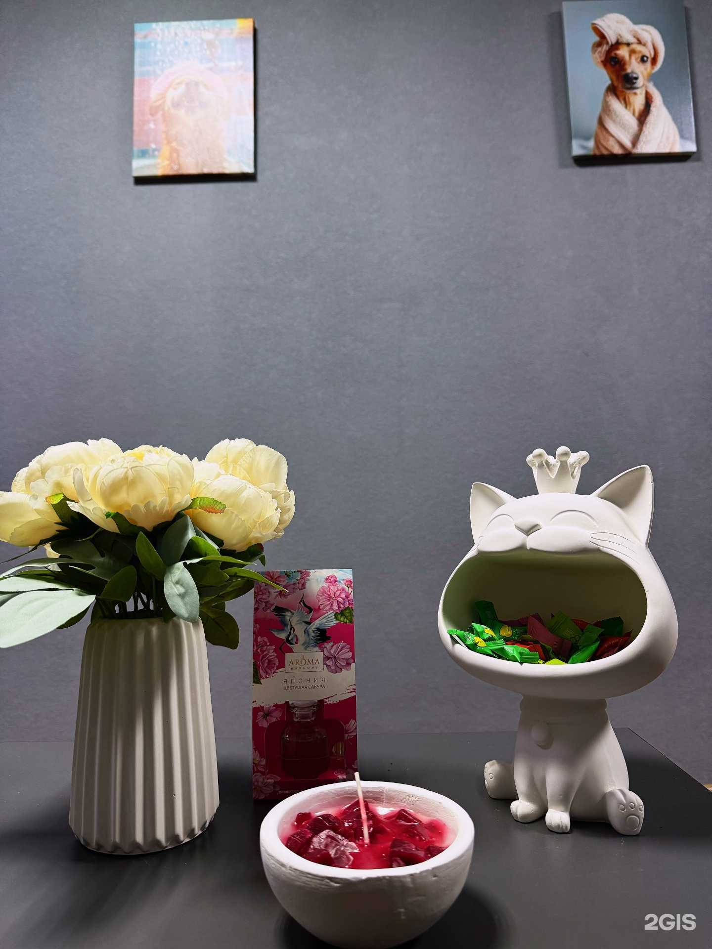 Отзывы на компанию Golden groominng в Омске c фото