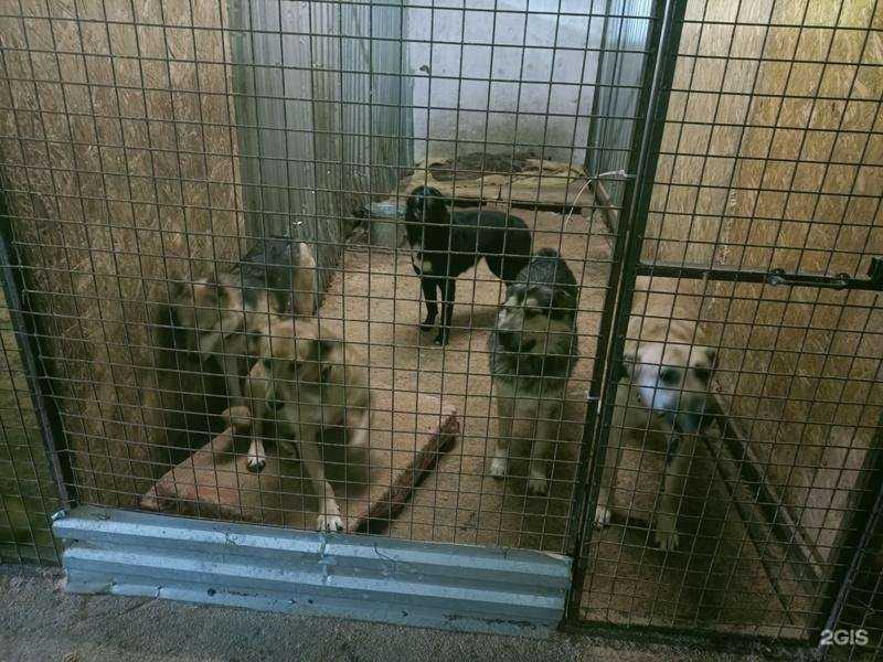 Отзывы на компанию Детский сад №111 в Рязани c фото