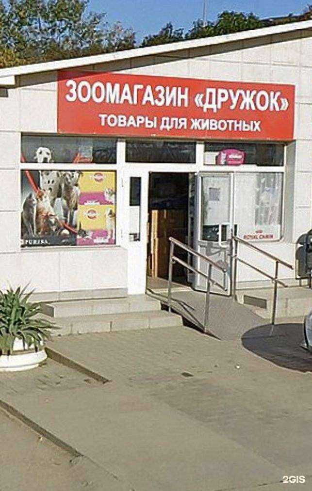 Отзывы на компанию Дружок в г. Сочи c фото