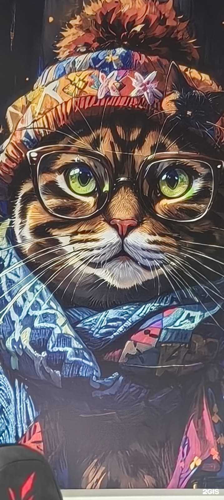 Отзывы на компанию Фокус в Новом Уренгое c фото