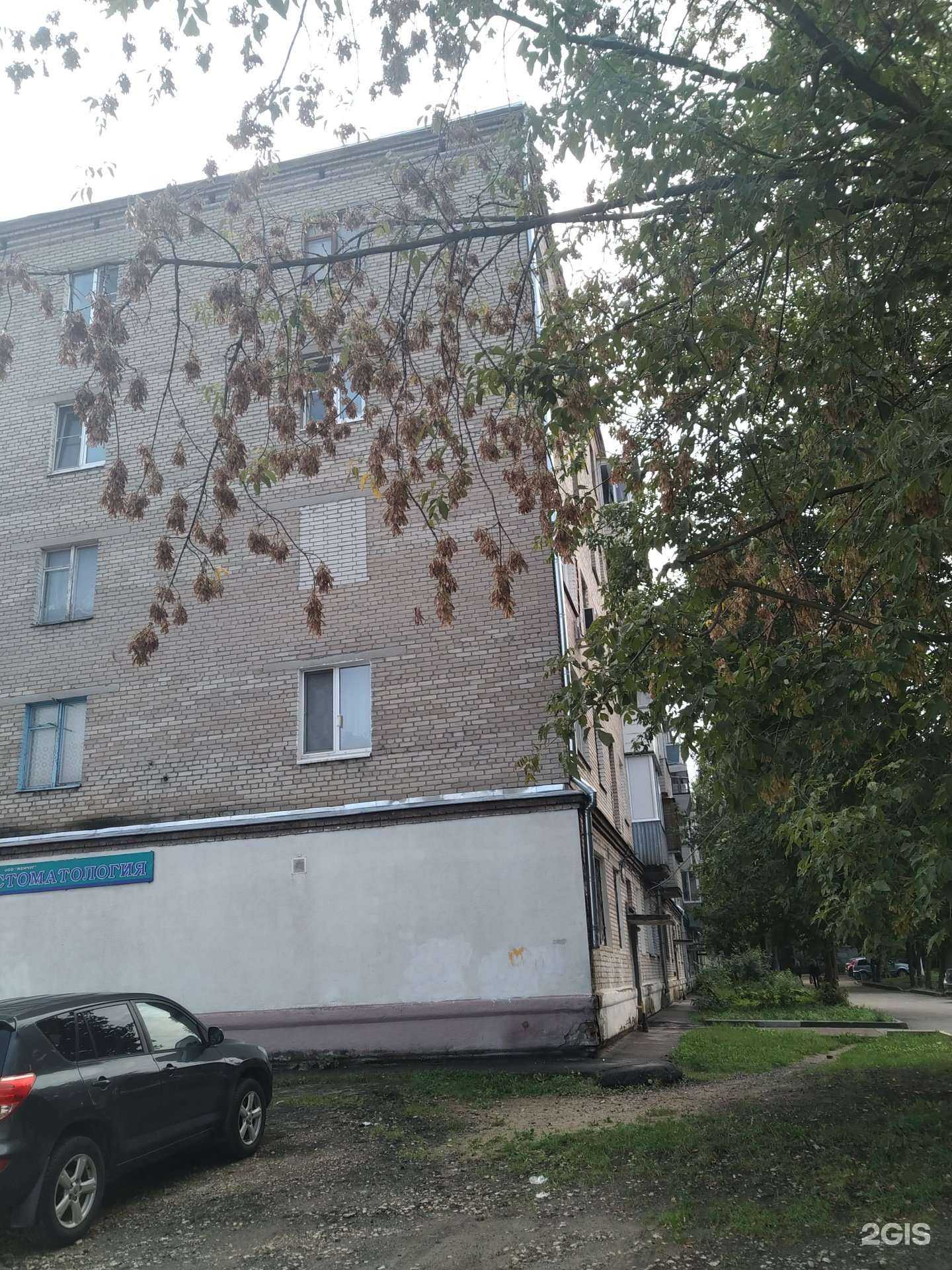 Отзывы на компанию Хвостик в Электроугли c фото - фотография 2 из 2