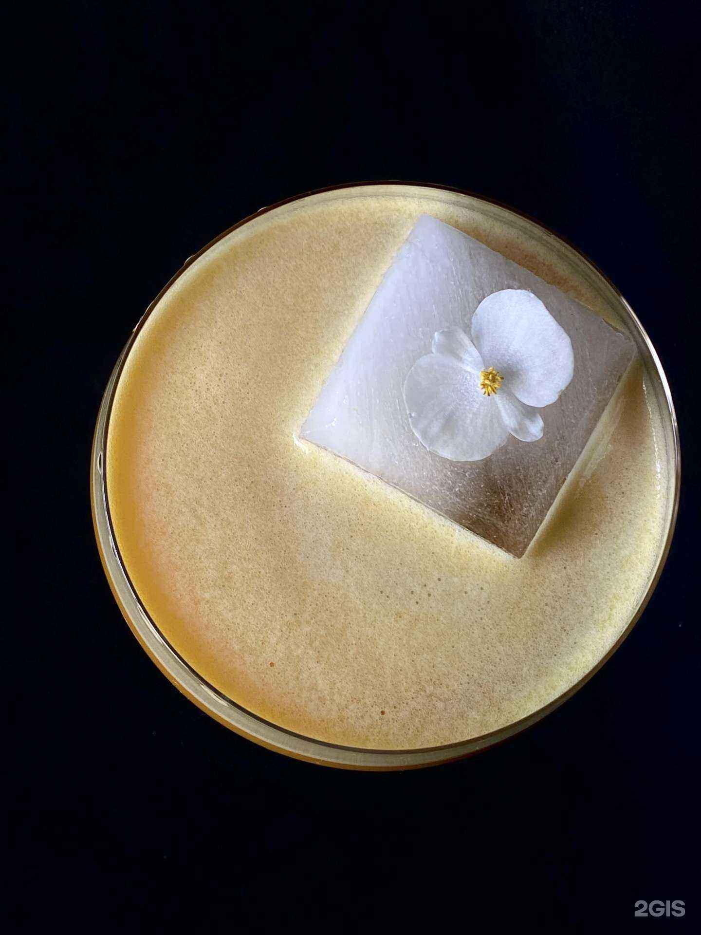 Отзывы на компанию Shisha grill в Липецке c фото