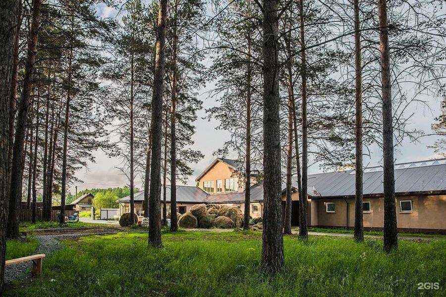 Отзывы на компанию Алькор-хорс в Первоуральске c фото - фотография 2 из 2