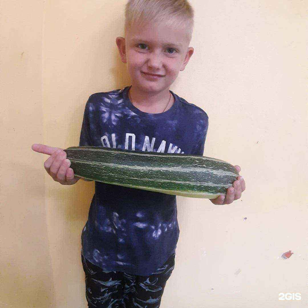 Отзывы на компанию Art Box в Твери c фото