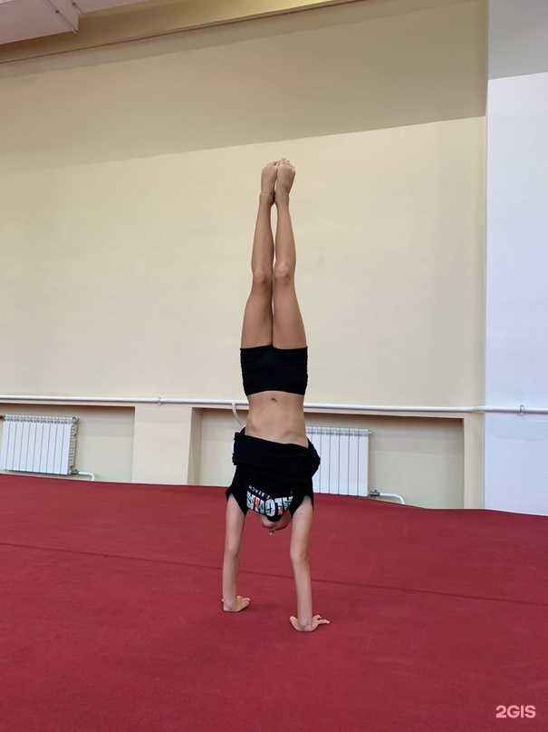 Отзывы на компанию Acrosport в г. Красноярск c фото