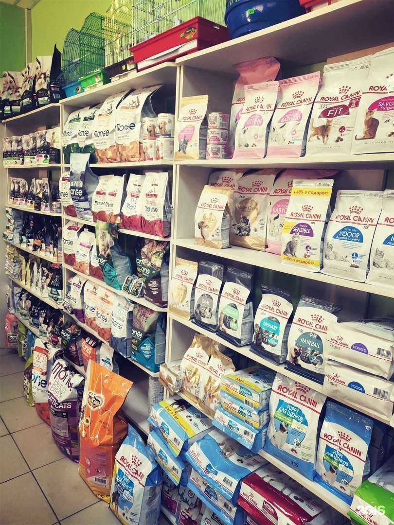 Отзывы на компанию 4 лапы в Альметьевске c фото