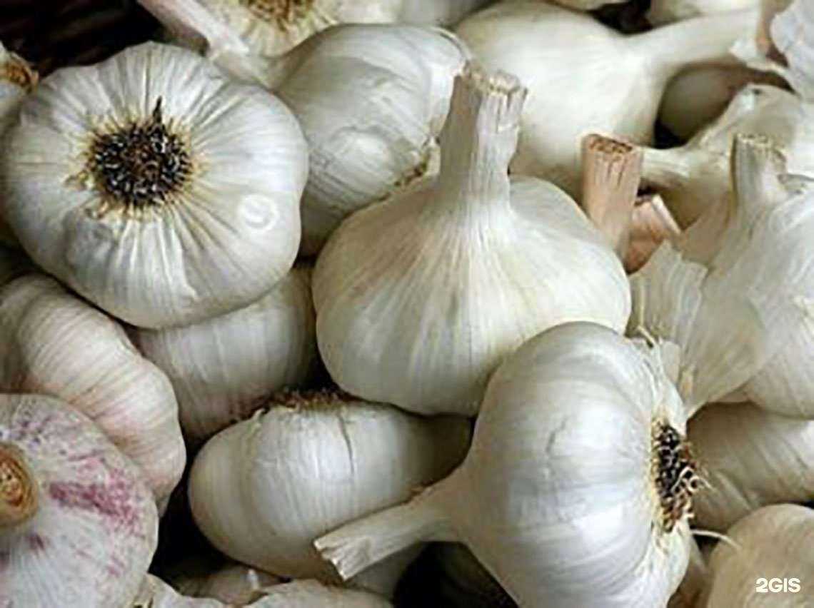 Отзывы на компанию Малина в г. Петрозаводск c фото