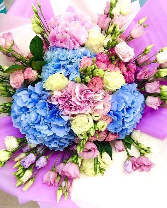 Отзывы на компанию Флоренси в г. Нижний Новгород c фото