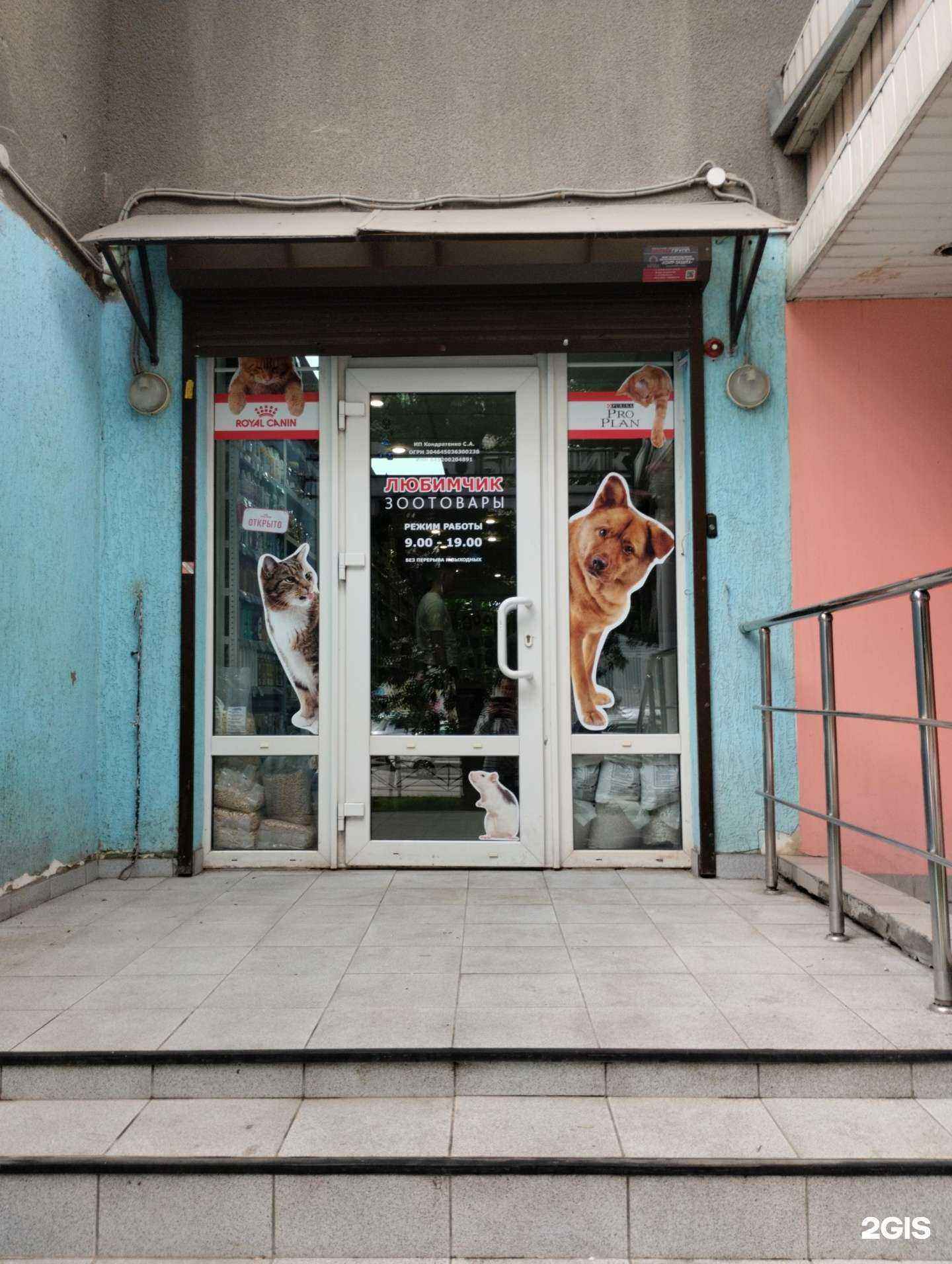 Отзывы на компанию Любимчик в Саратове c фото