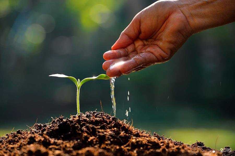 Отзывы на компанию Микобакс в г. Томск c фото